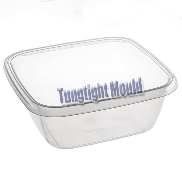container mould manufacturers