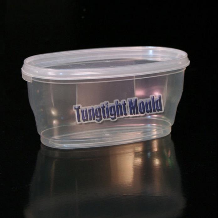 Transparent  food box mold
