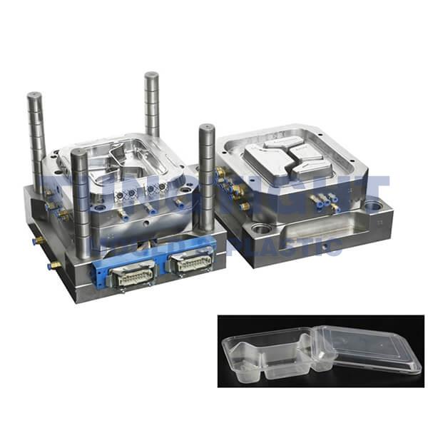 takeaway box mould