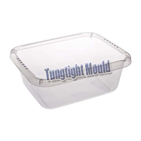 comida de plástico caja de almacenamiento de moldes