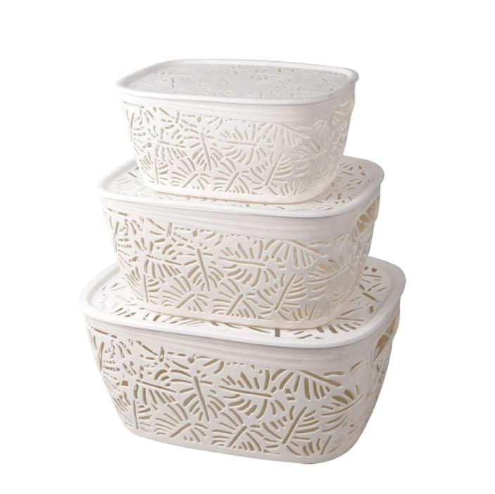 中国_塑料制品_水果篮_模具