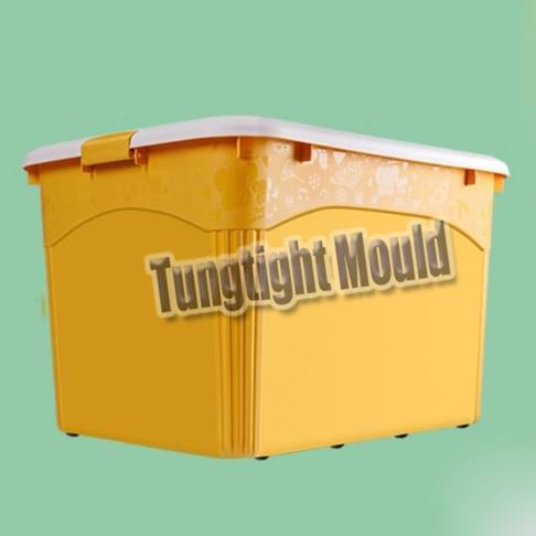 China Storage boxes mould