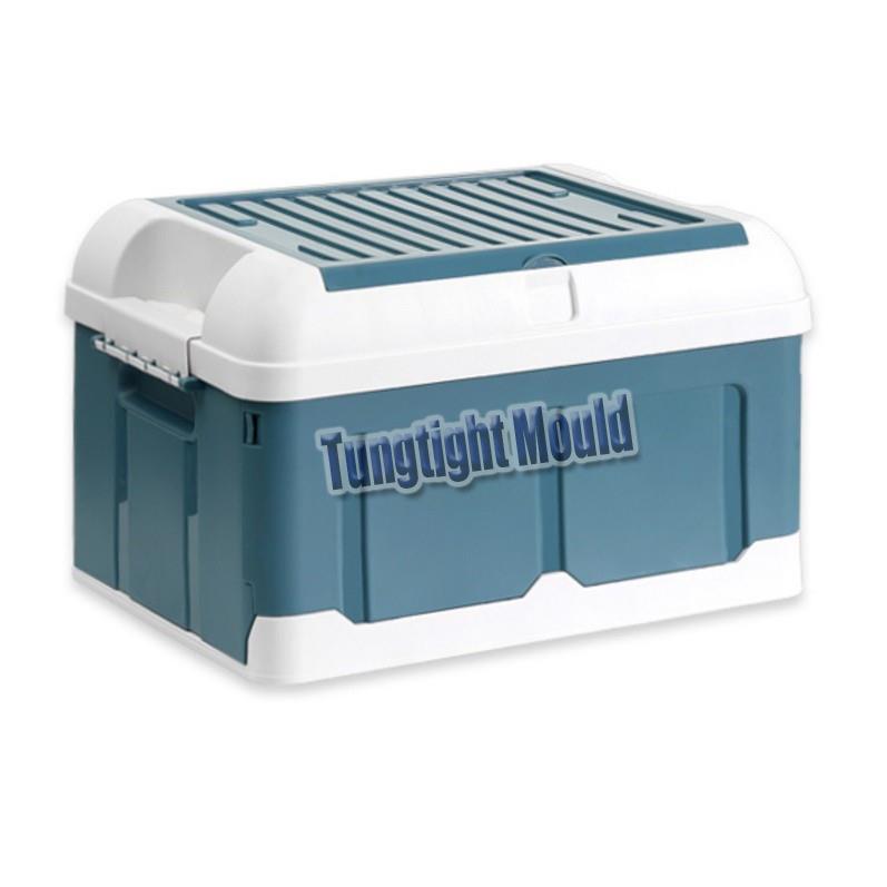 Injection Foldable Conatiner Molds